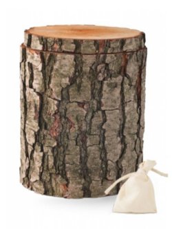 Handbemalte Bio Urnen